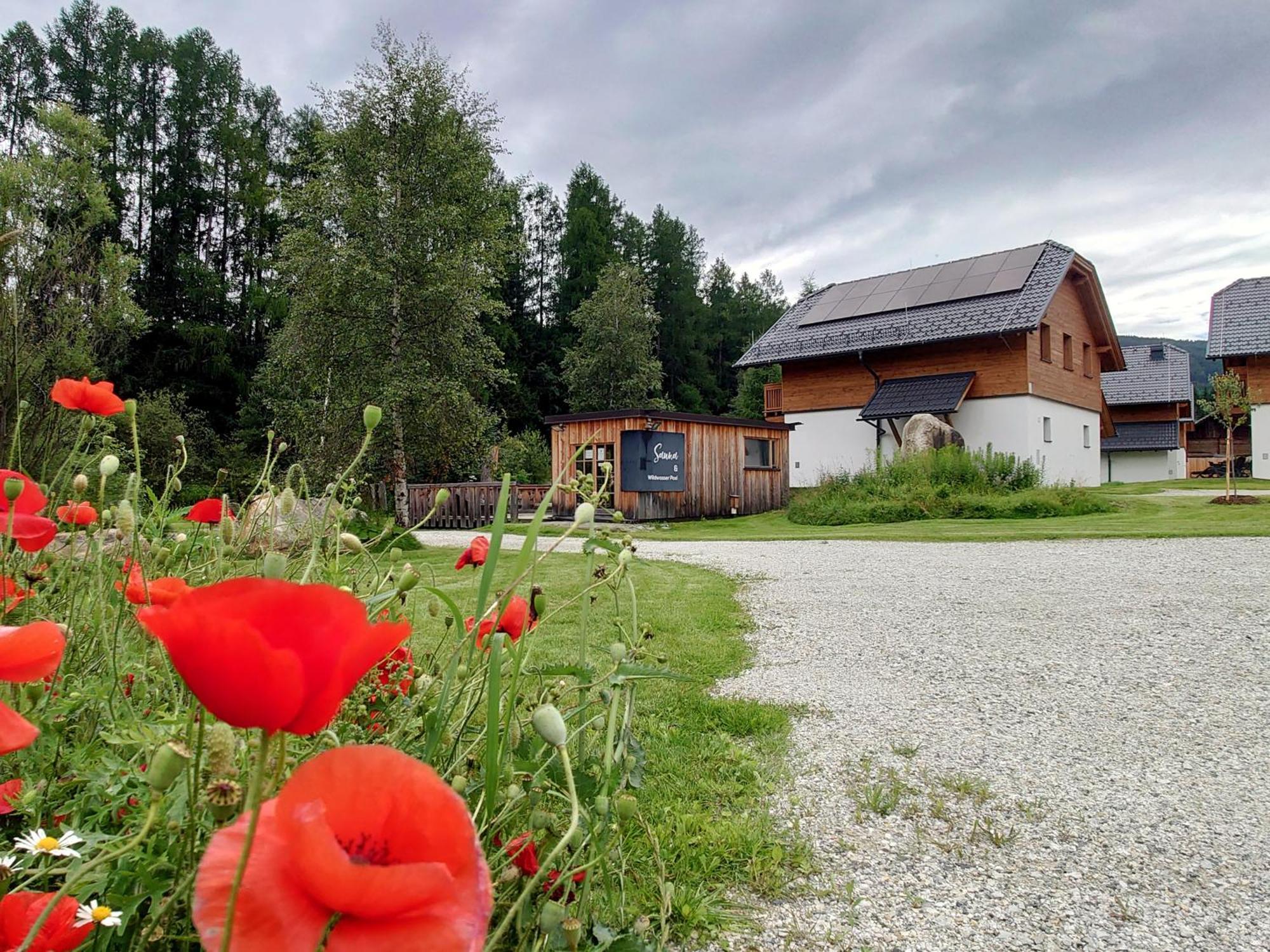 Apartament Premium Tauernstyle Golling Mariapfarr Zewnętrze zdjęcie